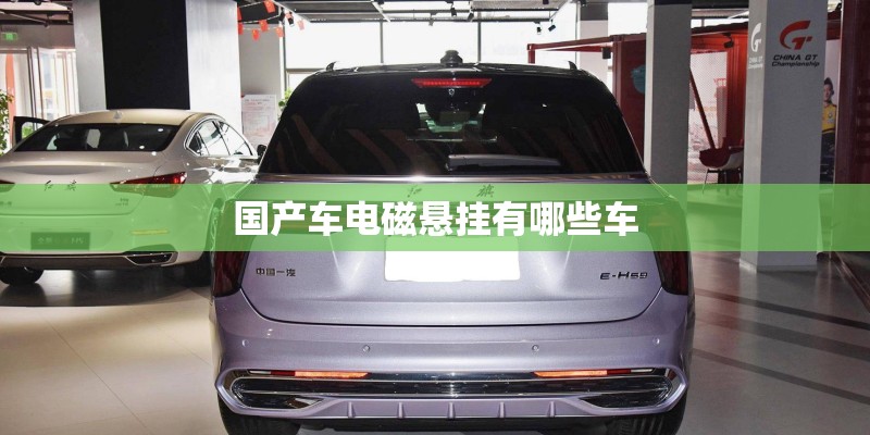 国产车电磁悬挂有哪些车