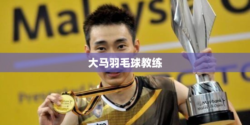 大马羽毛球教练