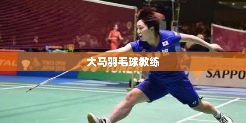 大马羽毛球教练