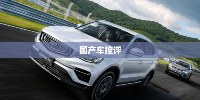国产车控评