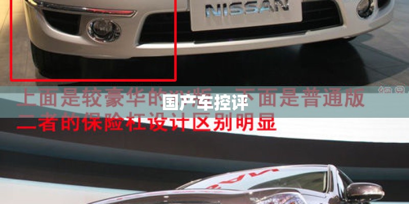 国产车控评