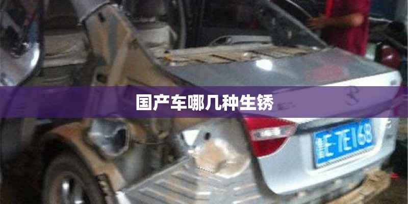 国产车哪几种生锈