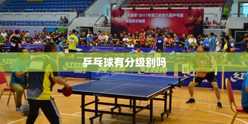 乒乓球有分级别吗