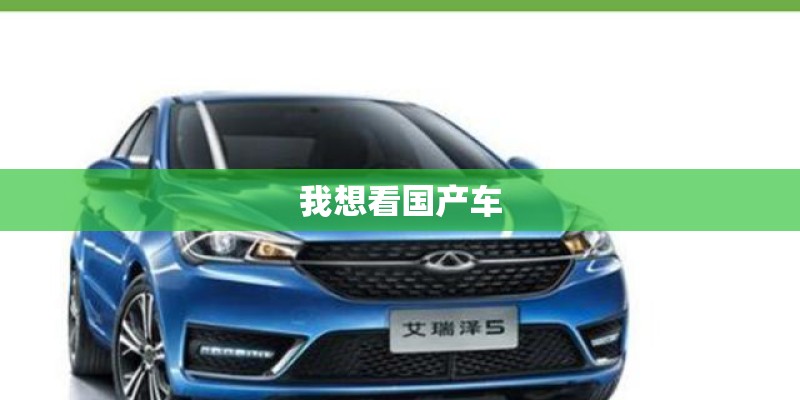 我想看国产车