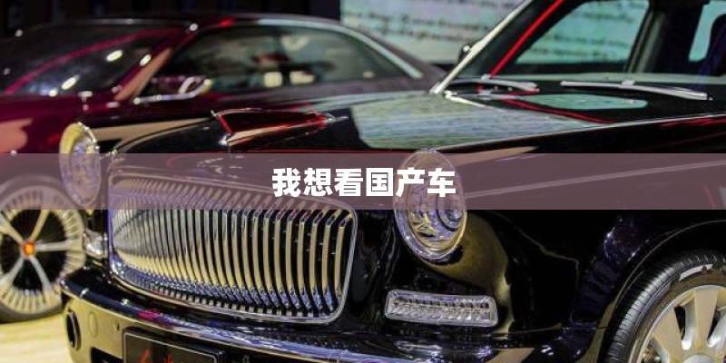 我想看国产车