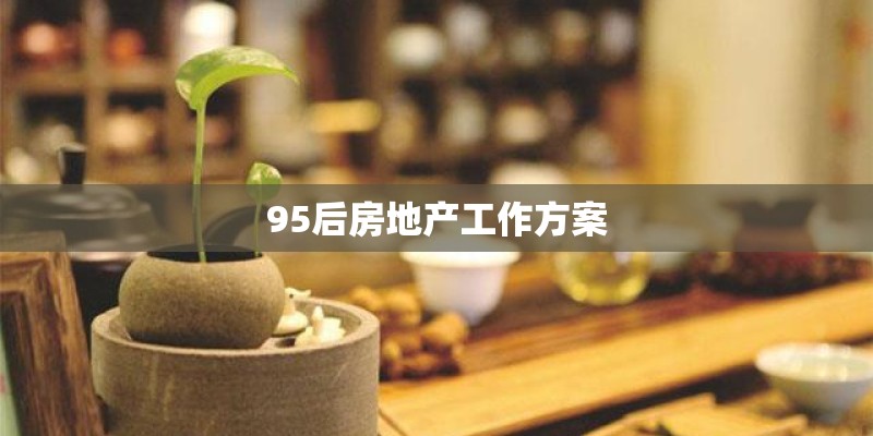 95后房地产工作方案
