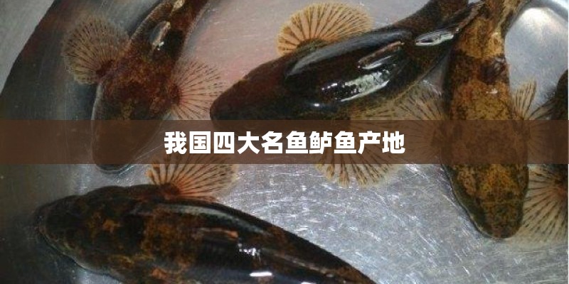 我国四大名鱼鲈鱼产地