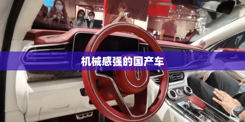 机械感强的国产车