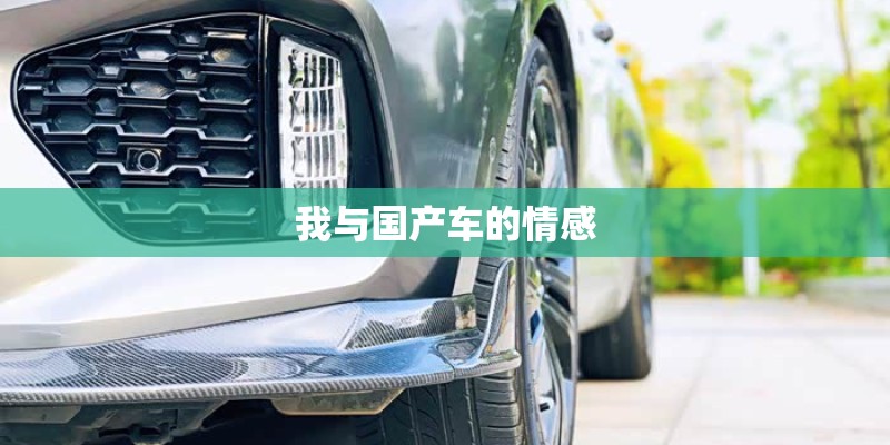 我与国产车的情感