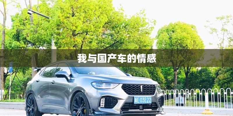 我与国产车的情感