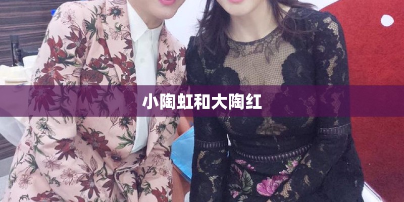 小陶虹和大陶红