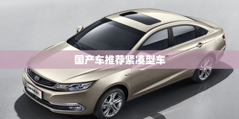 国产车推荐紧凑型车