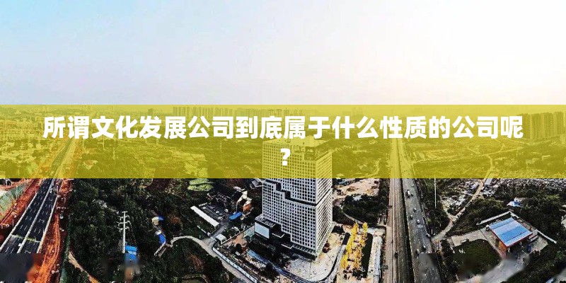 所谓文化发展公司到底属于什么性质的公司呢？