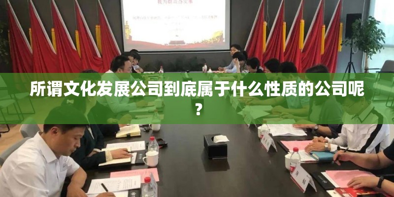 所谓文化发展公司到底属于什么性质的公司呢？