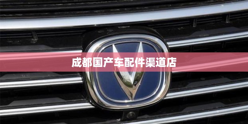 成都国产车配件渠道店