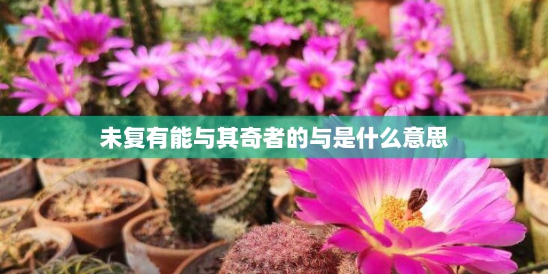 未复有能与其奇者的与是什么意思