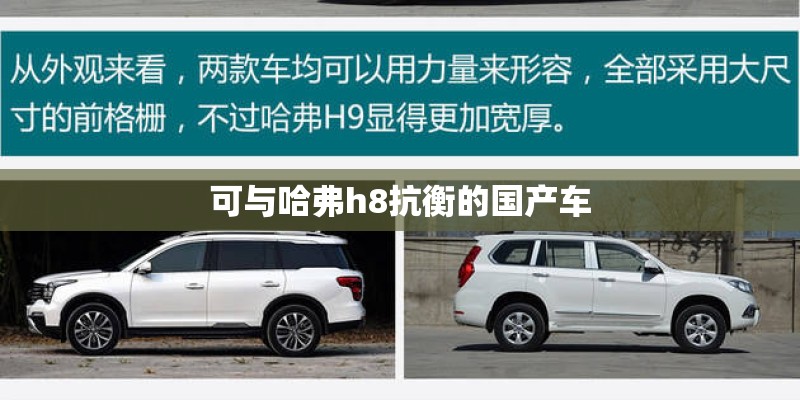 可与哈弗h8抗衡的国产车