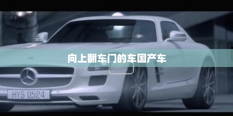 向上翻车门的车国产车