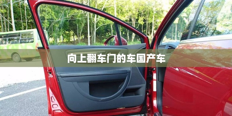 向上翻车门的车国产车