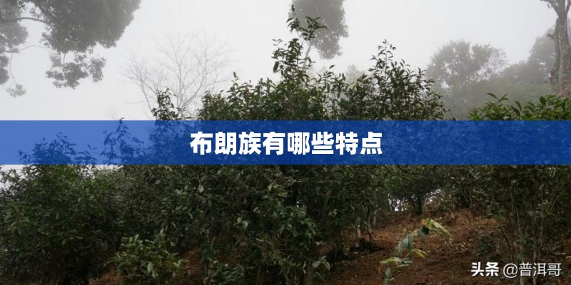 布朗族有哪些特点