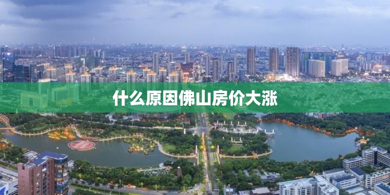 什么原因佛山房价大涨