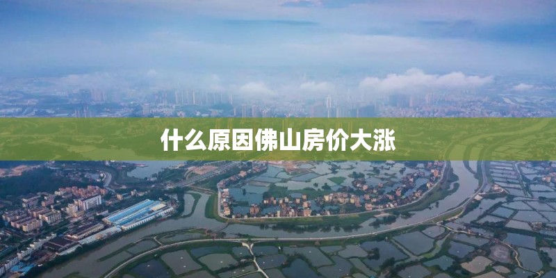 什么原因佛山房价大涨