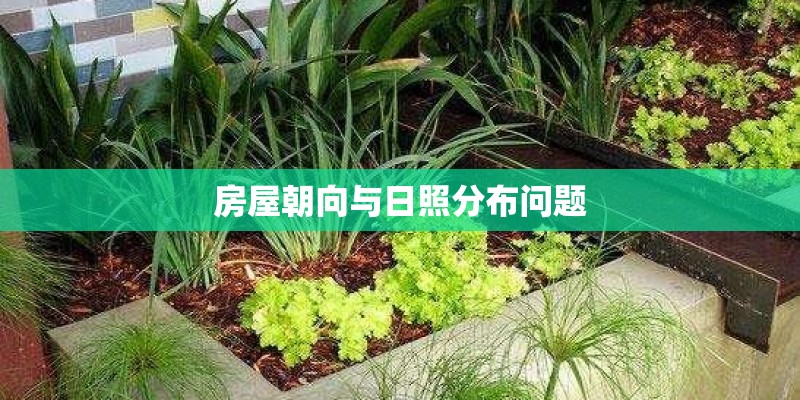 房屋朝向与日照分布问题