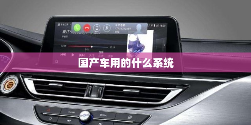 国产车用的什么系统
