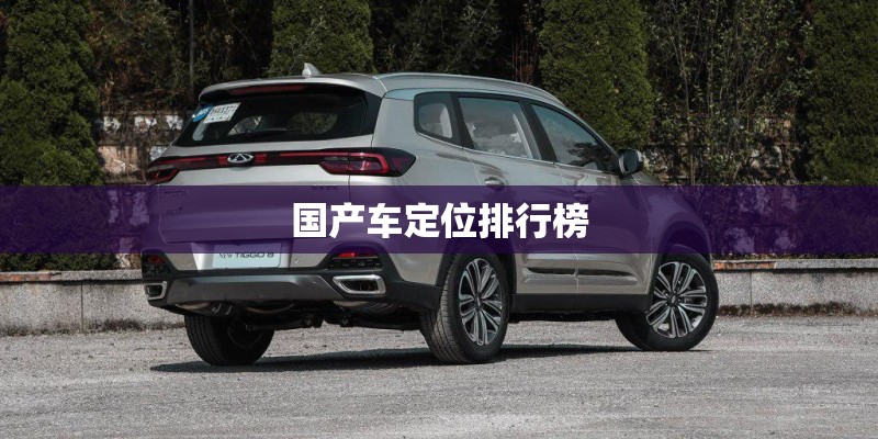 国产车定位排行榜