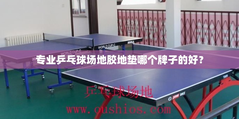 专业乒乓球场地胶地垫哪个牌子的好？