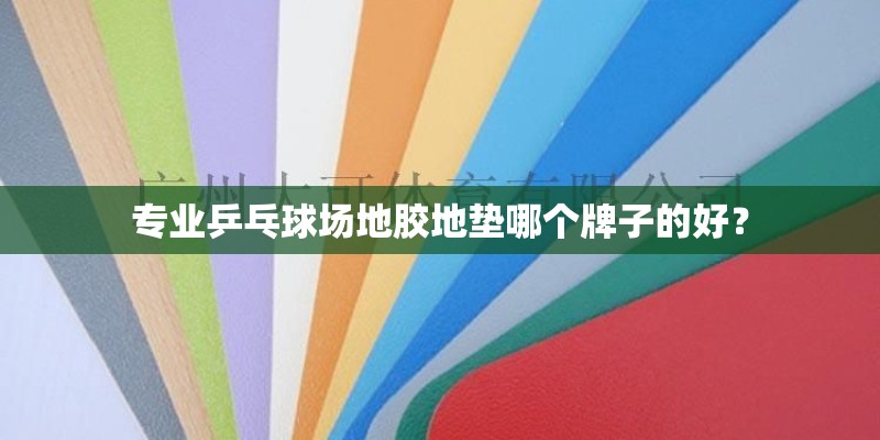 专业乒乓球场地胶地垫哪个牌子的好？