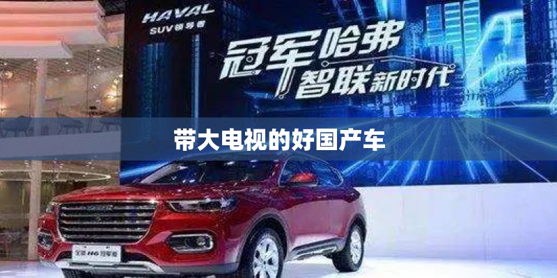 带大电视的好国产车