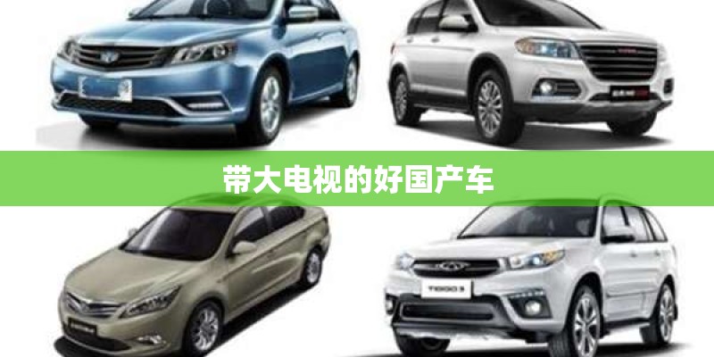 带大电视的好国产车