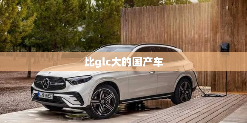 比glc大的国产车