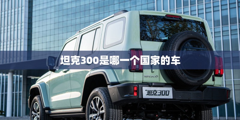 坦克300是哪一个国家的车