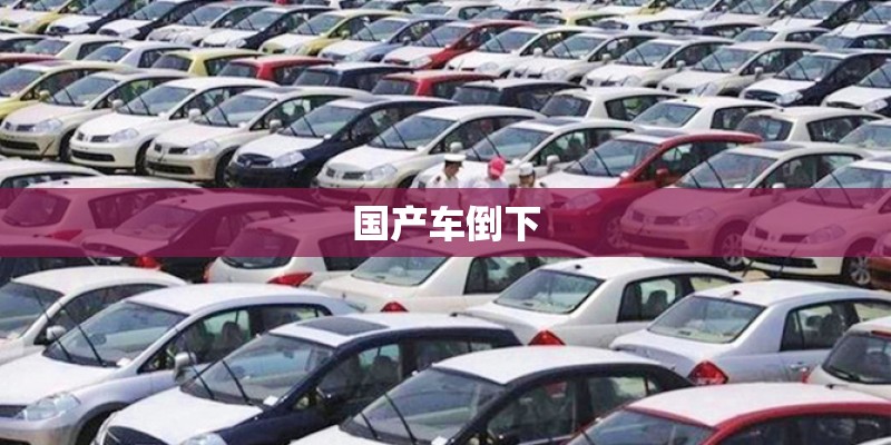 国产车倒下