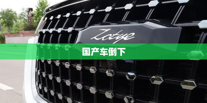国产车倒下