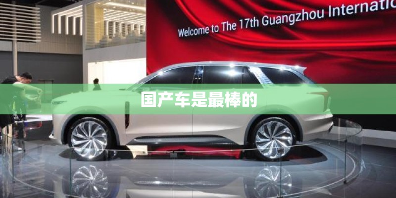 国产车是最棒的