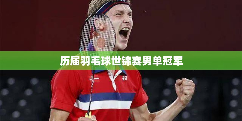 历届羽毛球世锦赛男单冠军