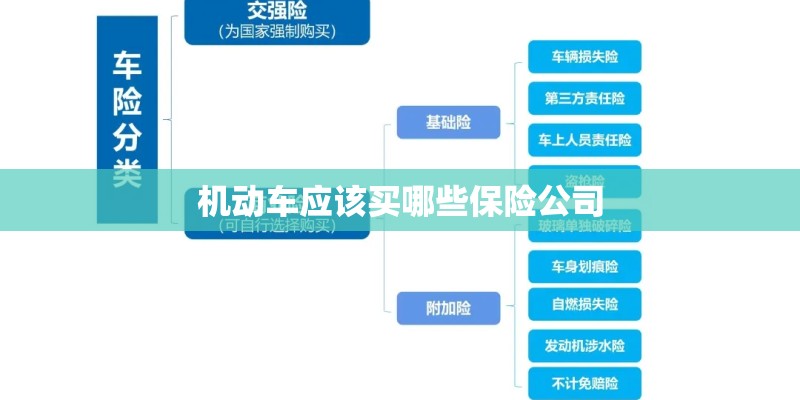 机动车应该买哪些保险公司