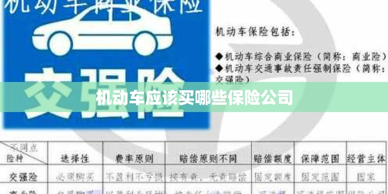 机动车应该买哪些保险公司