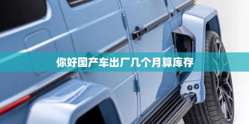你好国产车出厂几个月算库存