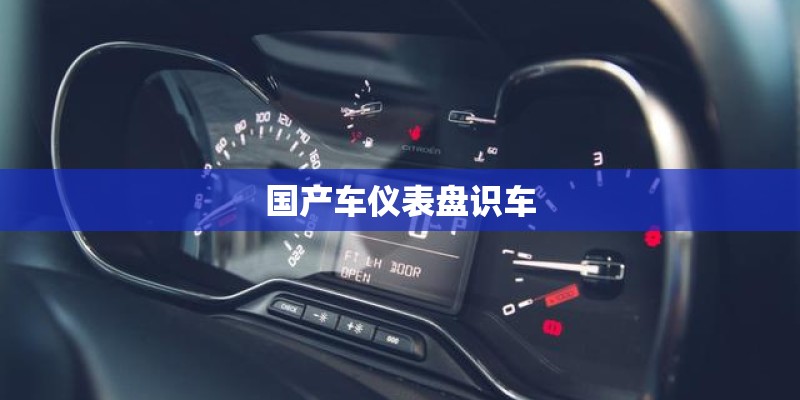 国产车仪表盘识车