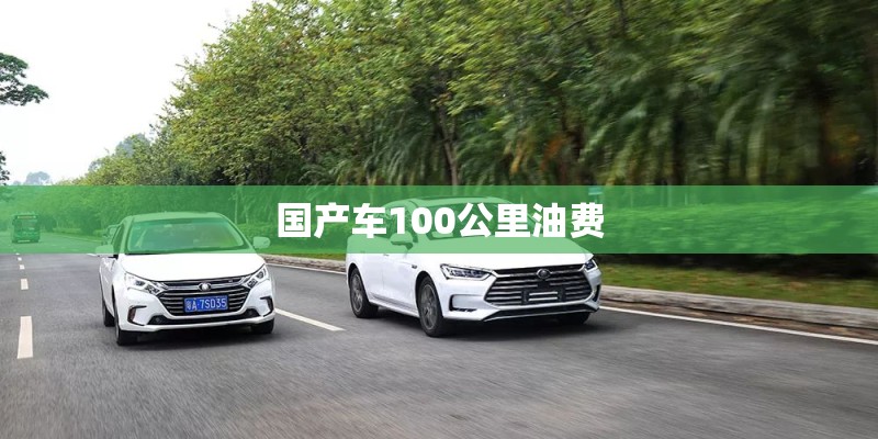 国产车100公里油费