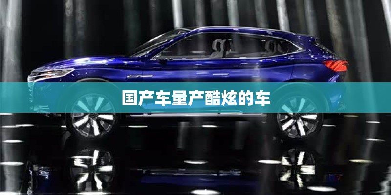 国产车量产酷炫的车
