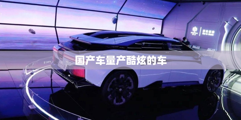 国产车量产酷炫的车