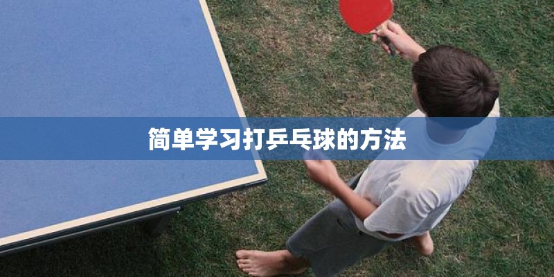 简单学习打乒乓球的方法 简单学习打乒乓球的方法