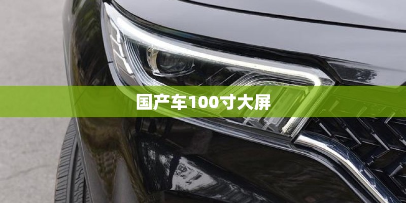 国产车100寸大屏