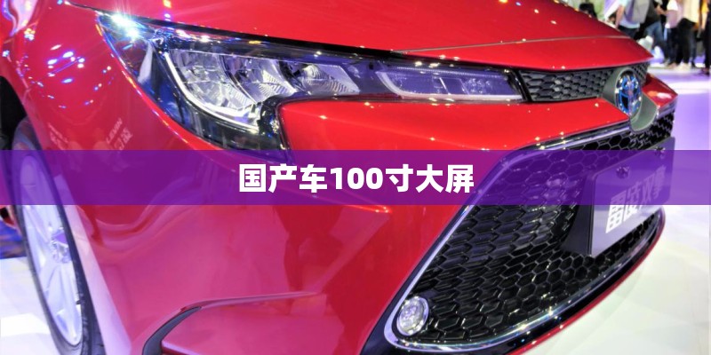 国产车100寸大屏
