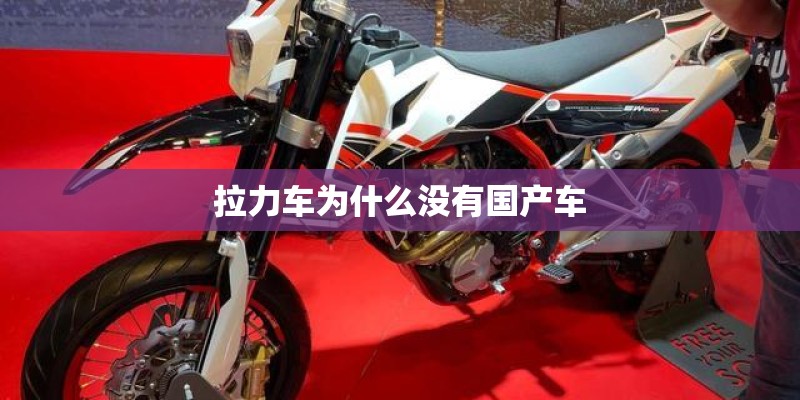 拉力车为什么没有国产车